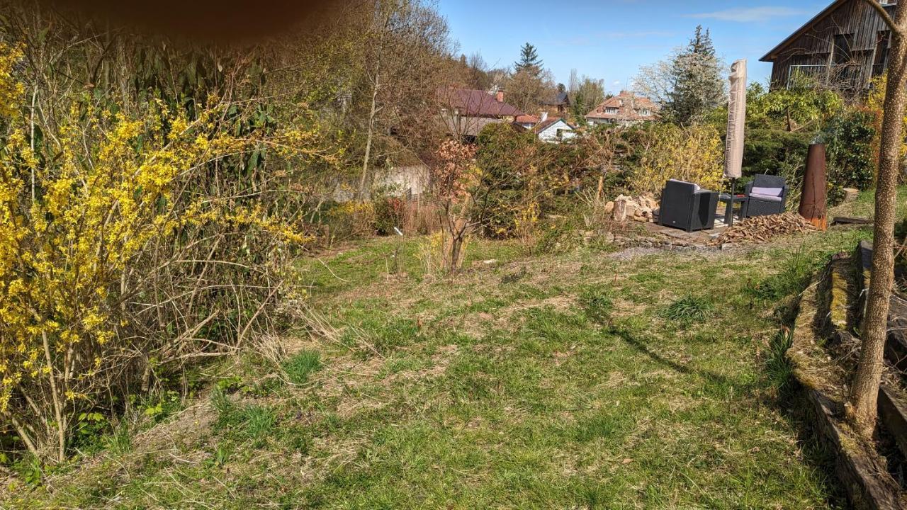 20 Min Nach Wien, Ruhig Und Gruen 克洛斯特新堡 外观 照片