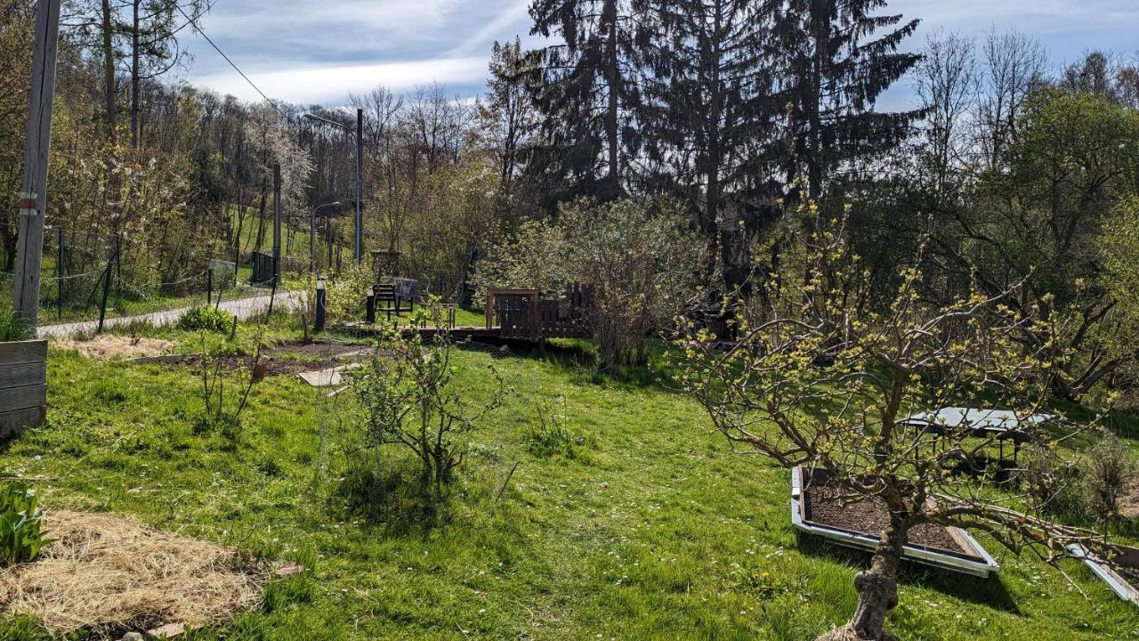 20 Min Nach Wien, Ruhig Und Gruen 克洛斯特新堡 外观 照片